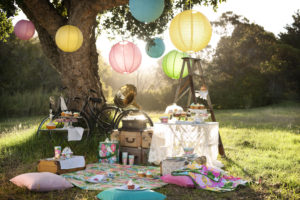 Picnic